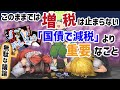 【国債で減税】実は簡単！増税インフレ円安を解決する方法！？議論すべき本当の問題とは？競争で経済成長はしない！政府の役割とは？市場の失敗？【ずんだもん】【ゆっくり解説】