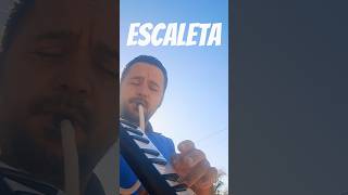 Escaleta #shots #amor #reflexão #oração #sãofranciscodeassis