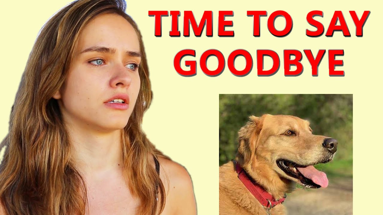 SHORT FILM - Do Pets Return to Guide Us?  Pet Loss, Pet Grieving, Death of a Dog, Coping & Recovery.