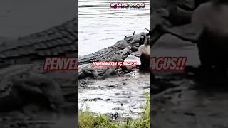 Ketika Sungai Jadi Arena: Duel Maut antara DUA PREDATOR