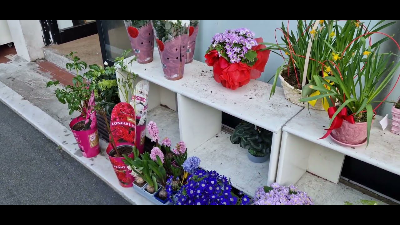 Beauttiful sound of nature #italy#live##красота#природа#цветы