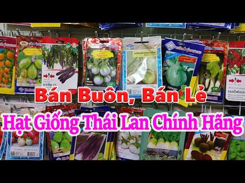 🍅 Top Những Loại Hạt Giống Được Khách Hàng Mua Nhiều Nhất Hiện Nay – Dễ Trồng, Năng Suất Cao,
