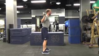 BB Wave Squat