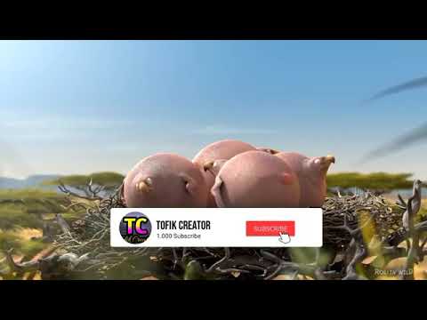 Rollin safari Rollin safari