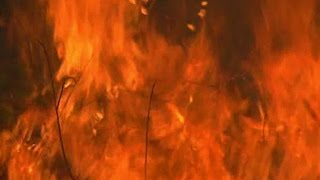 Cullman County wildfire