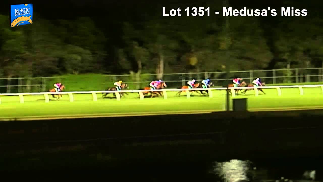 Lot 1351 - Medusa's Miss (AUS)
