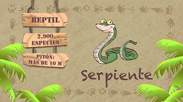 ¿Cuáles son las 3 características de una serpiente?