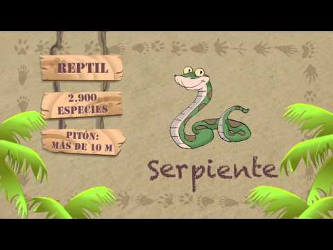 Las características de la SERPIENTE hqdefault