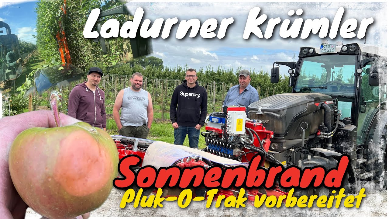 Obsthof Raddatz - Ladurner Krümler | Sonnenbrand bei den Äpfel | Pluk-O-Trak vorbereitet