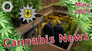 Canna NEWS März 2025 - Deutschland, Österreich, Schweiz, USA, Kanada, England, Niederlande