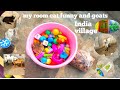 My room cat funny toys and goats violation97sss india village youtube channel