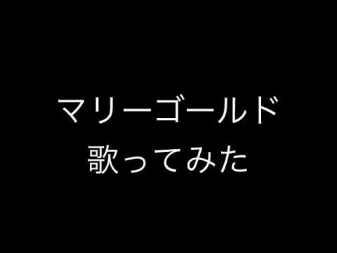 マリーゴールド　ボイトレに9年通っている男が歌ってみた　アカペラ