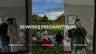 20 WEEKS PREGNANT VLOG | Finding out Gender, Baby Thrift Haul, Normal Week in my Life