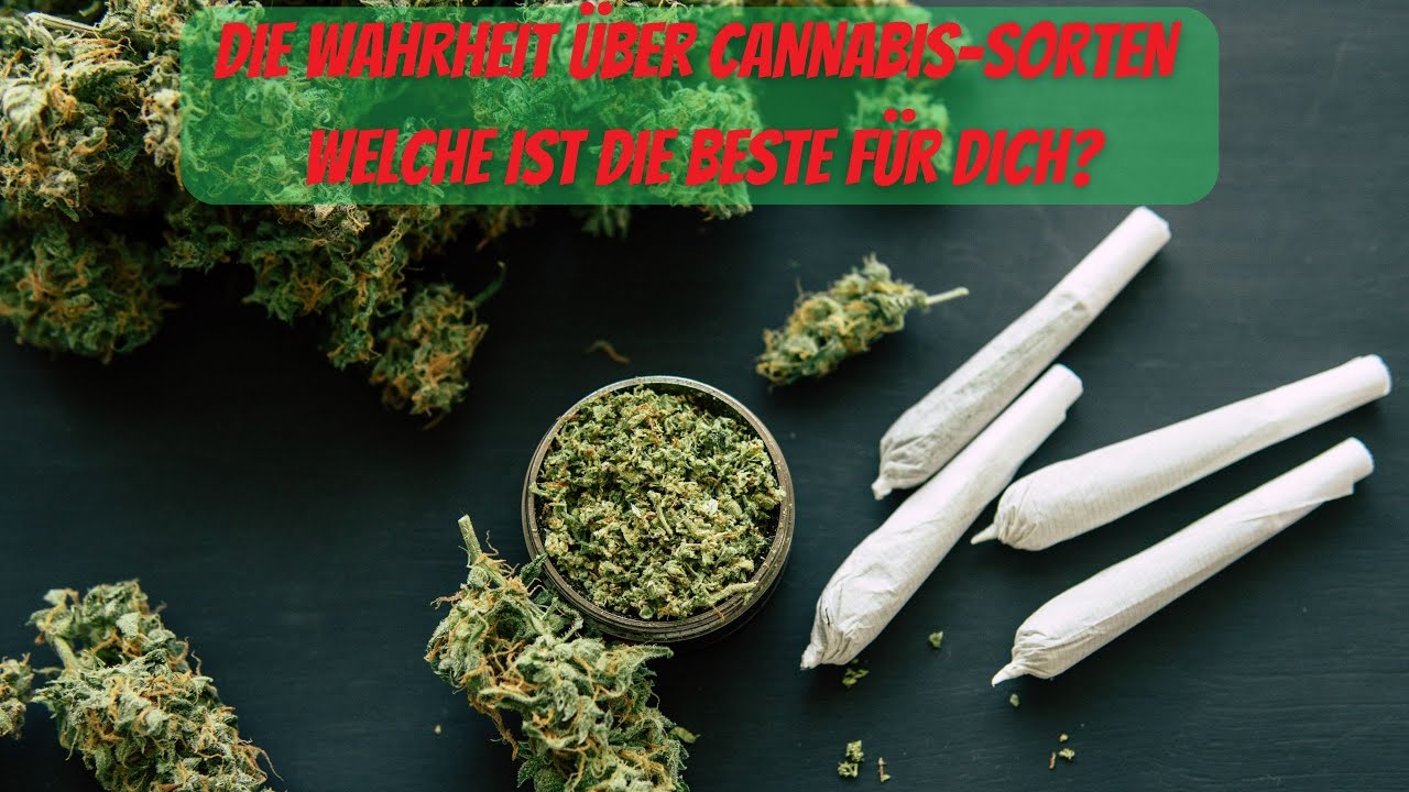 Die Wahrheit über Cannabis Sorten