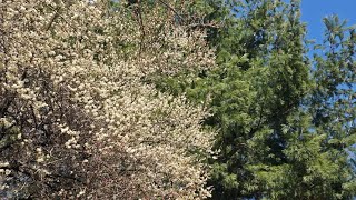 후곡공원 영상