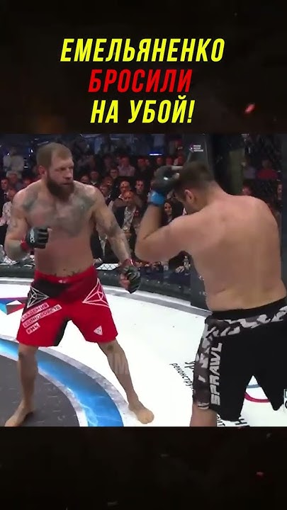 Все Думали Емельяненко Конец, Но Не Тут-то Было! - YouTube