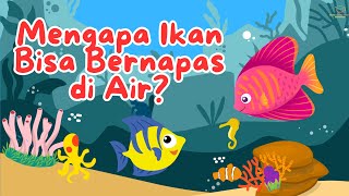 Mengapa Ikan Bisa Bernapas di Air? #edukasigenerasiindonesia #edukasianak