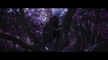 Georgia - Nothing Solutions (Official Video)