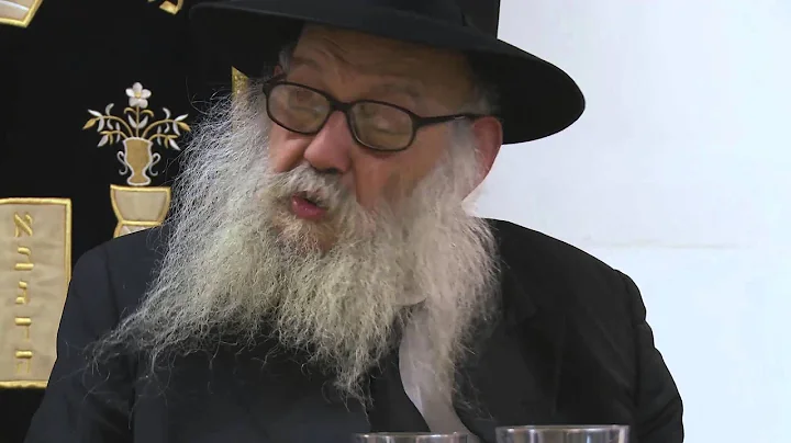 Rabbi Leibel Groner - Miracles of the Rebbe in our...
