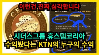 시더스그룹 휴스템코리아 수익봤다는 KTN의 수익