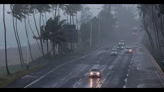 UJ - Jabad siempre está screenshot 5