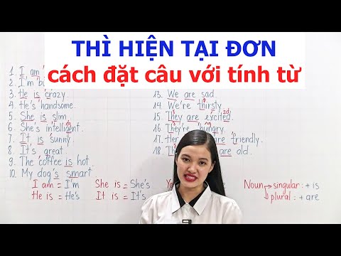Video Thì Hiện Tại Đơn phần 1 - youtube