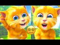 Talking ginger 2   talking ginger  talking ginger cat  talking ginger game 