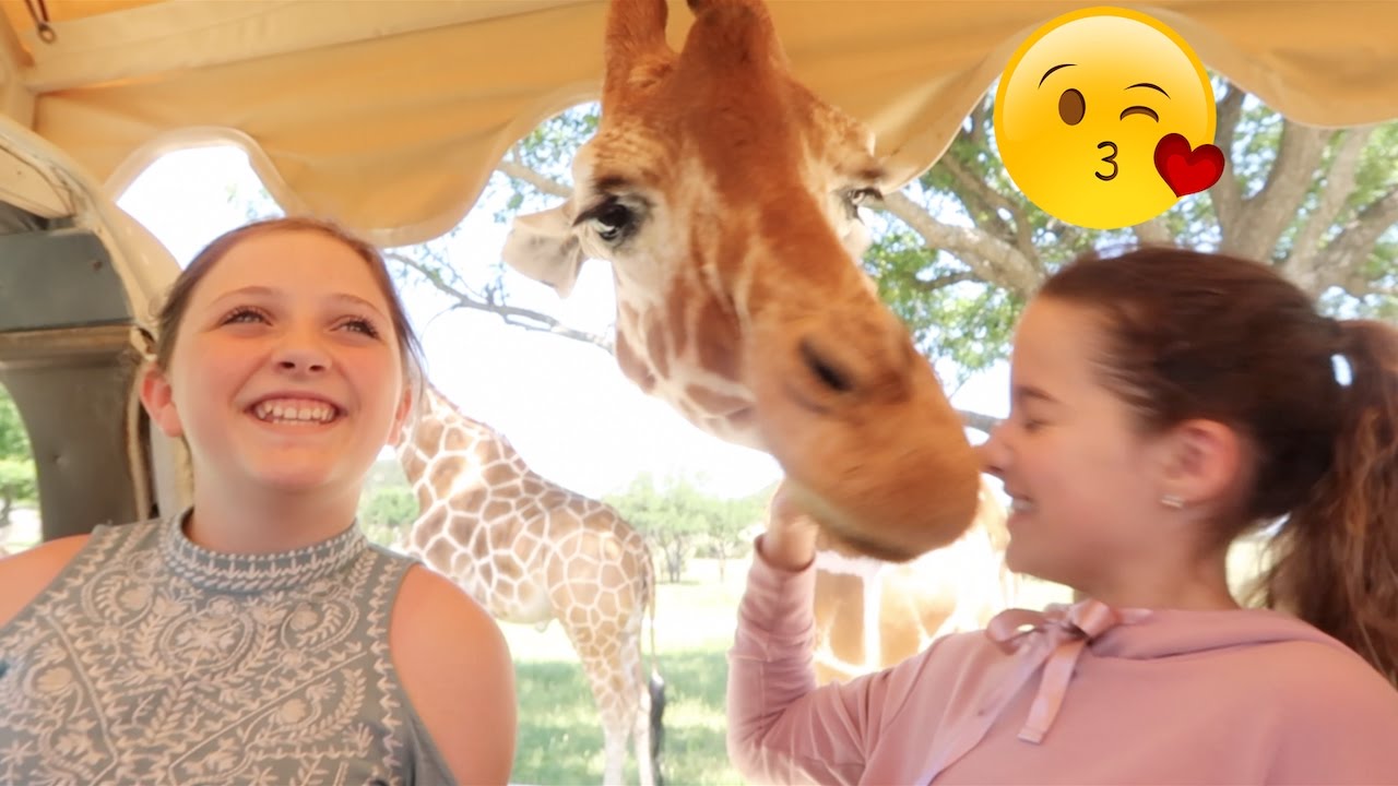 I Kissed a Giraffe 😘 (WK 332.4) | Bratayley