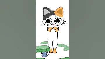Sad Real Cat Dance MEME 