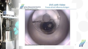 Impact of Freeze Drying Conditions on Stability of Food and Pharmaceutical Materials