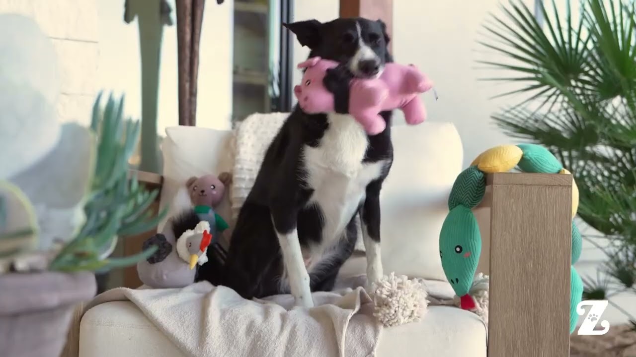 ZippyPaws ecoZippy | eco-friendly Dog Toys