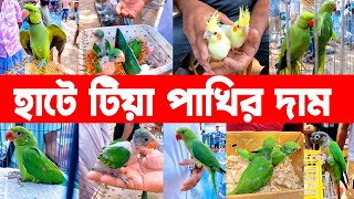 হাসনাবাদ পাখির হাট২০২৪ || Bird market 2024 || Bird market in bangladesh || Hasnabad pakhir hat