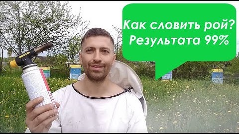 Как поймать рой пчёл. Результат 99%. Готовим улей или ловушку, чтобы словить пчелиный рой.