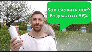 Как поймать рой пчёл. Результат 99%. Готовим улей или ловушку, чтобы словить пчелиный рой.