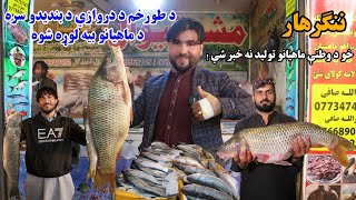 Pakistan Fish in Nangarhar | Fish Smuggling Exposed |  د پاکستان ماهيان که زموږ د خپل وطن