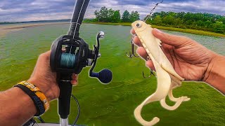 AGGRESSIVE MUSKY HAMMERS MEDUSSA IN FIRST COUPLE CASTS! screenshot 5
