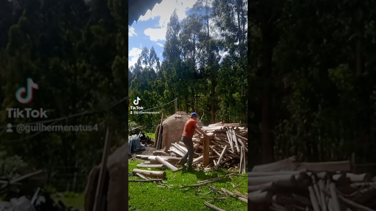 rachando lenha de metrô de eucalipto seco