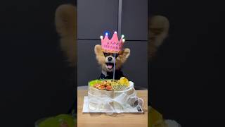 My Boss Baby Turns 15