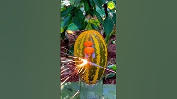 ഇവന്റെ ഒരു പവർ 😱 | #youtubeshorts #shorts #m4tech #sufailsvibes #experiment #viral #trending