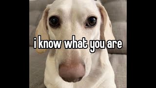 every time Penny Snapcube takes a screenshot in FFVII Remake (part 2)