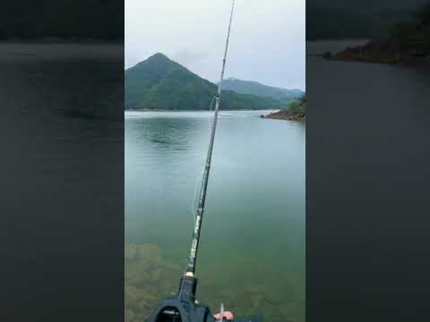 <strong>충주호</strong> <strong>낚시</strong> 배스 ing 실시간
