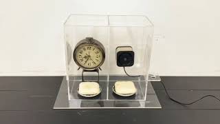 宇宙ステーションでも活用の光触媒技術で空気を徹底浄化。手のひら