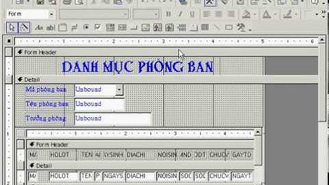 Các thành phần của form trong access 2003