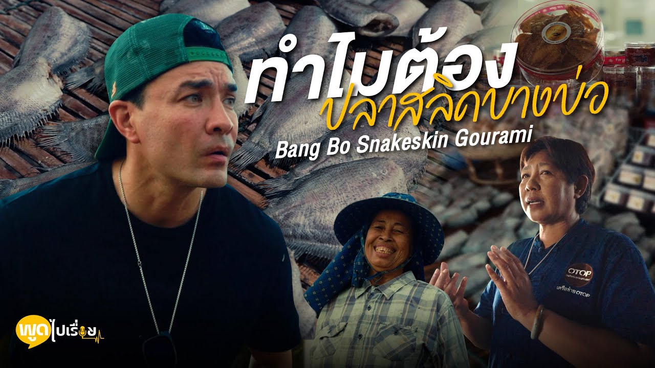 Bang Bo Snakeskin Gourami | การเดินทางหาคำตอบของปลาสลิดบางบ่อ คุ้มค่ามากครับ | Boriboon Family