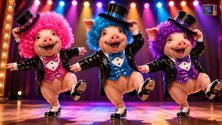 Here, Wiggy, Wiggy, Wiggy! | LIVE