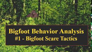 Video Bigfoot Behavior Recorded on Mt Rainier - Scare Tactics!