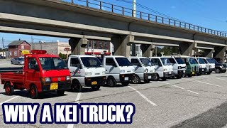 Asking Kei Truck Owners Why They Bought A Kei Truck PART 2