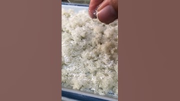 Ăn Nhiều Là Bị Say Cắm Mặt Lun Đó... Shorts.