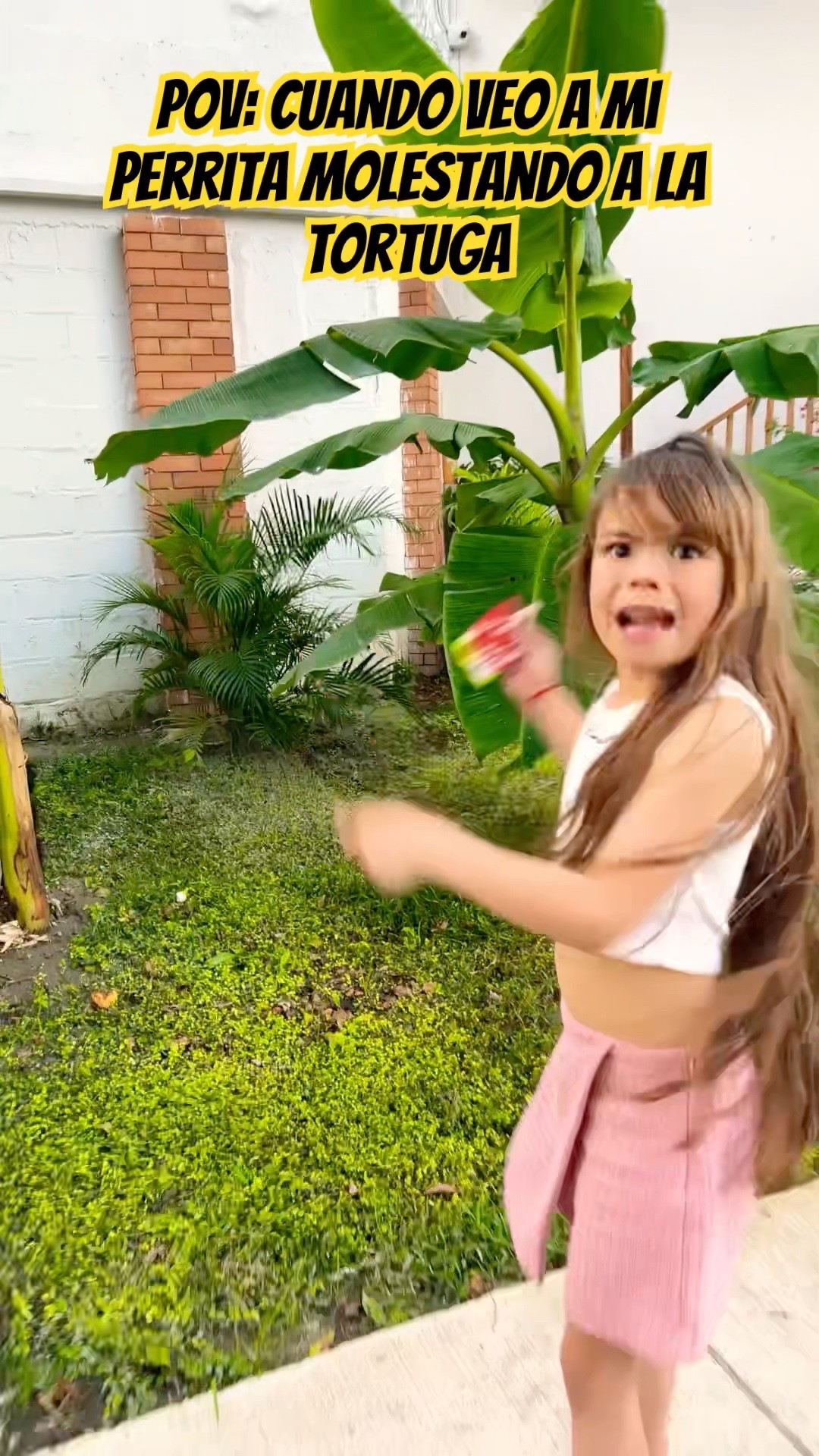 Mi perrita molesta a la TORTUGA#comedia#humor#shortviral