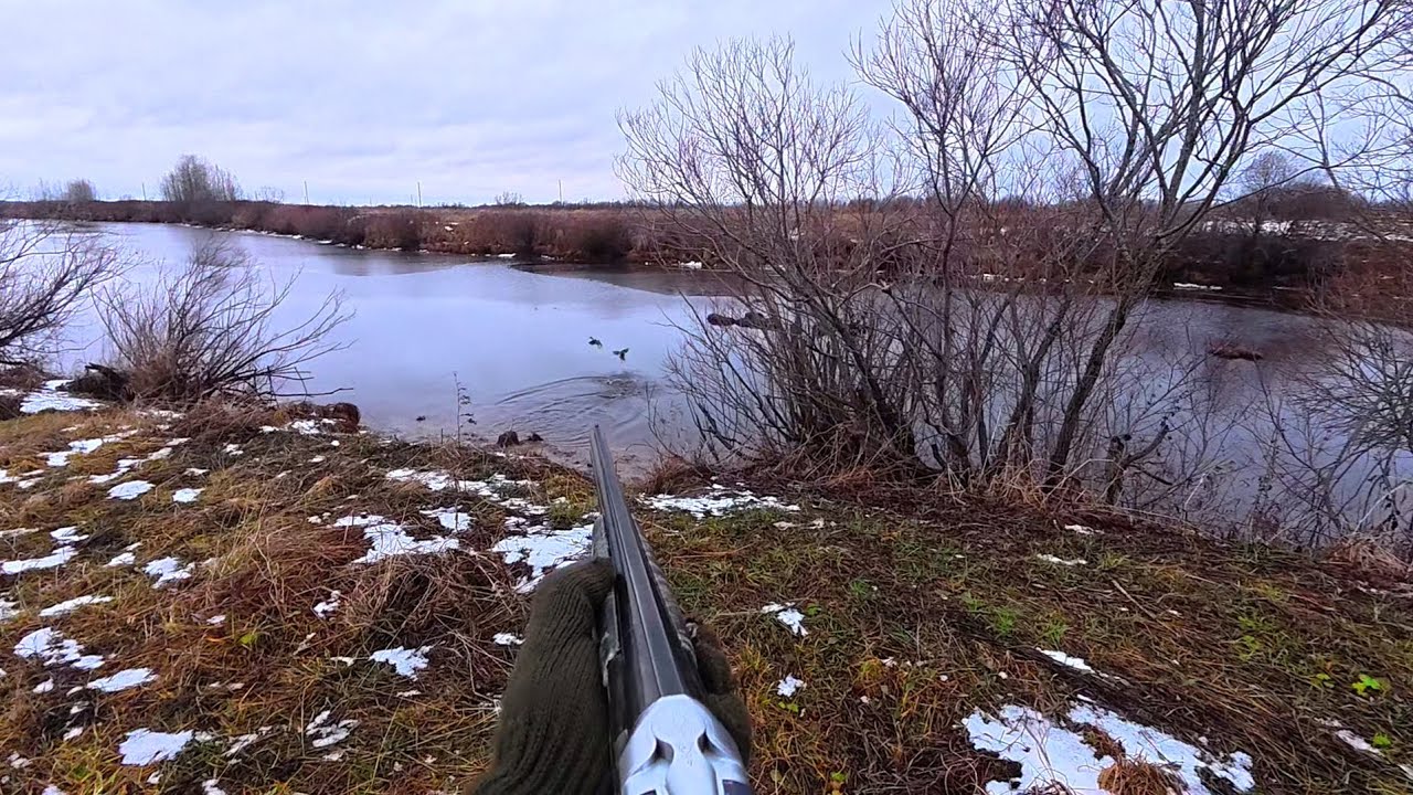 ПОДКРАЛСЯ К СТАЕ УТОК И ОТЛИЧНО ОТСТРЕЛЯЛСЯ. Охота на Утку. Шикарные Подходы к Дичи.